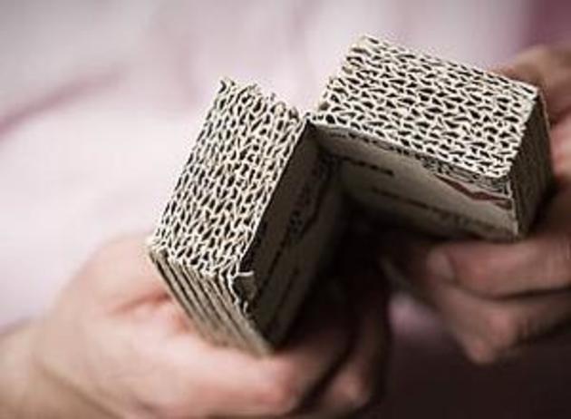 The 19th IAPRI World Conference on Packaging opens 15 June in Melbourne.